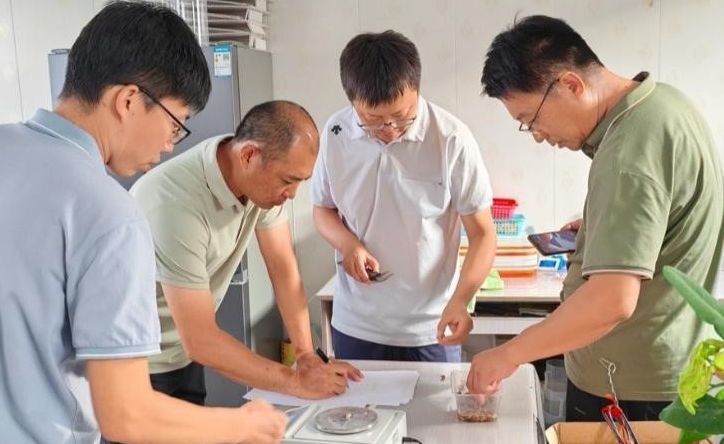 山东省贝类产业技术体系烟台综合试验站“香螺苗种规模化扩繁技术研究”取得阶段性成果