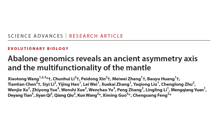 山东省贝类体系专家在国际顶级期刊《Science Advances》发表论文揭示了鲍鱼形态不对称和外套膜多功能性的形成机制